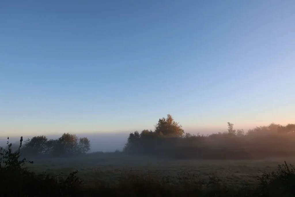 Et smukt og fredfyldt landskab med træer og let tåge, der skaber en beroligende atmosfære.